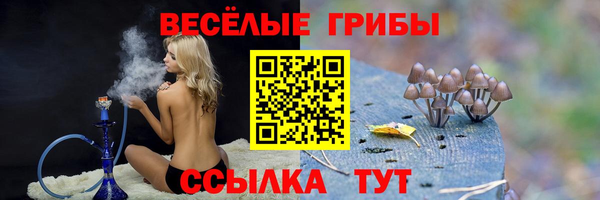 Галлюциногенные грибы MAGIC MUSHROOMS  Вход с VPN  Псилоцибиновые грибы Cubensis  Реутов 