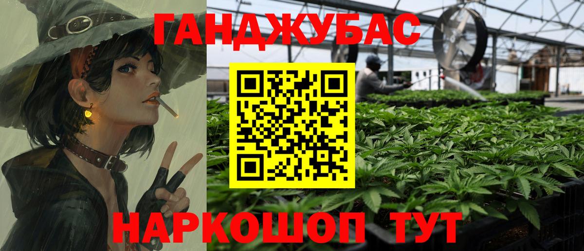 Конопля сатива Реутов